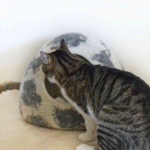 felt cat cave Igloo white with grey shades_cat detail