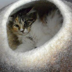 Pet beds by Wooppers your cat can feel it!