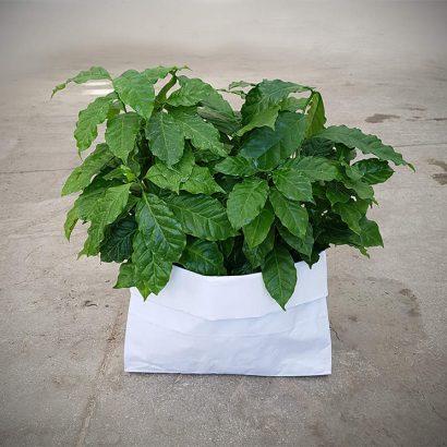 Reuse the paper shopping bag-watertight-white_by Chryssa Adrakta