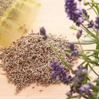 natural moth repellents for wooppers slippers