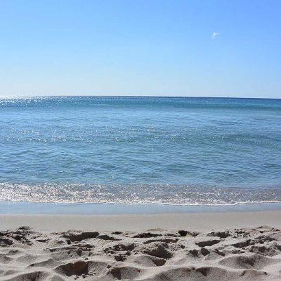 summer holidays wooppers