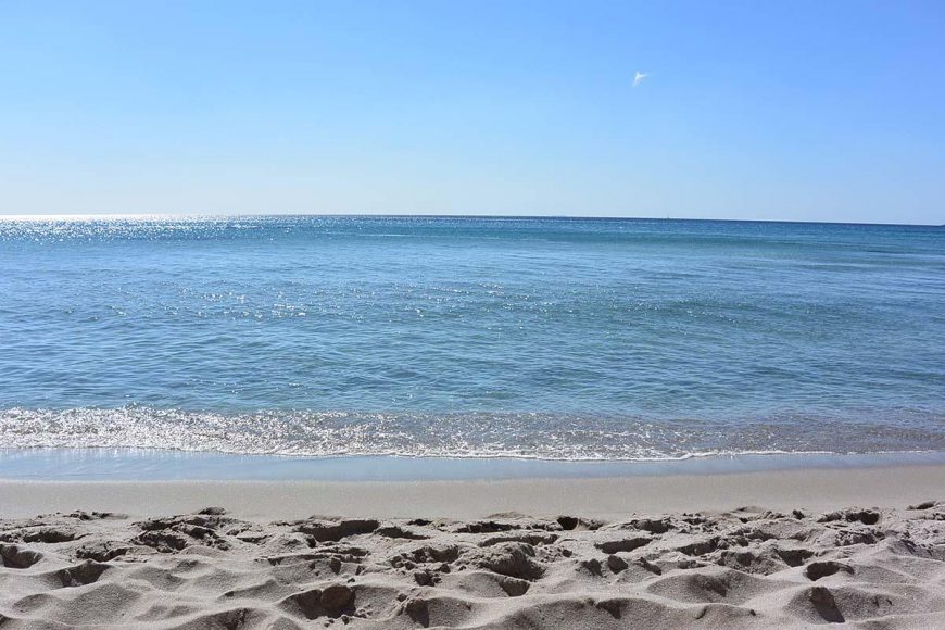 summer holidays wooppers