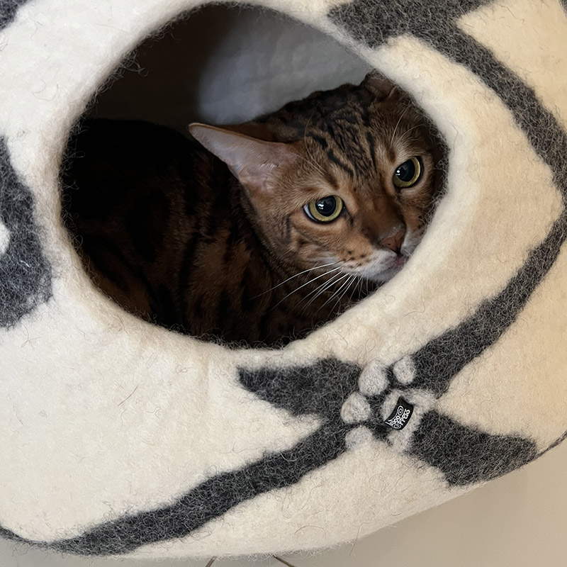 Cat inside an igloo cat house made in wool by Wooppers